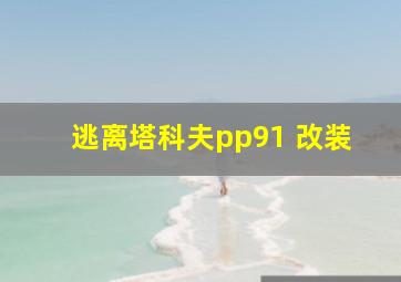 逃离塔科夫pp91 改装